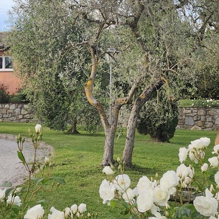 La Casa Delle Rose Villa Terranuova Bracciolini Exterior photo