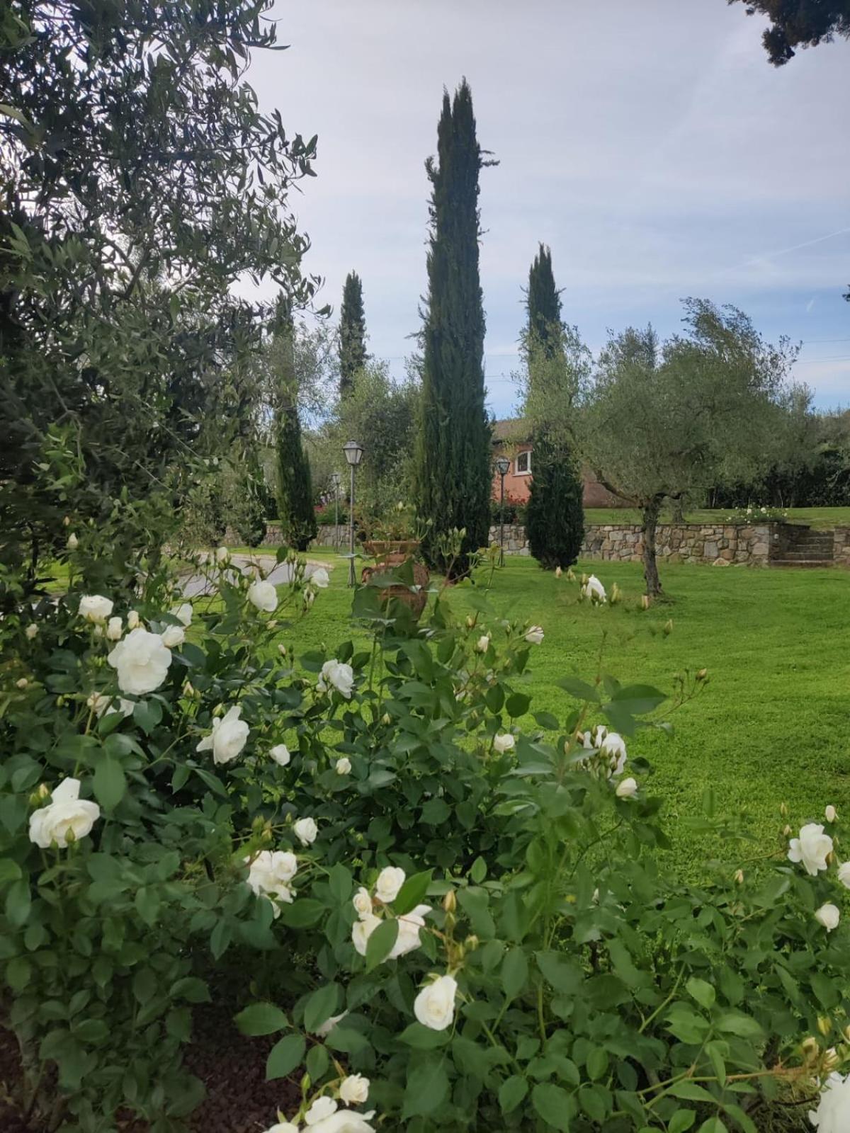La Casa Delle Rose Villa Terranuova Bracciolini Exterior photo